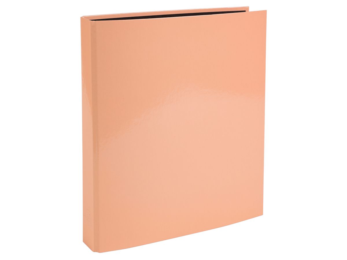 EXACOMPTA Ringbuch Aquarel 2.5cm 51560E assortiert 4-Ring A4 (3130630515609)