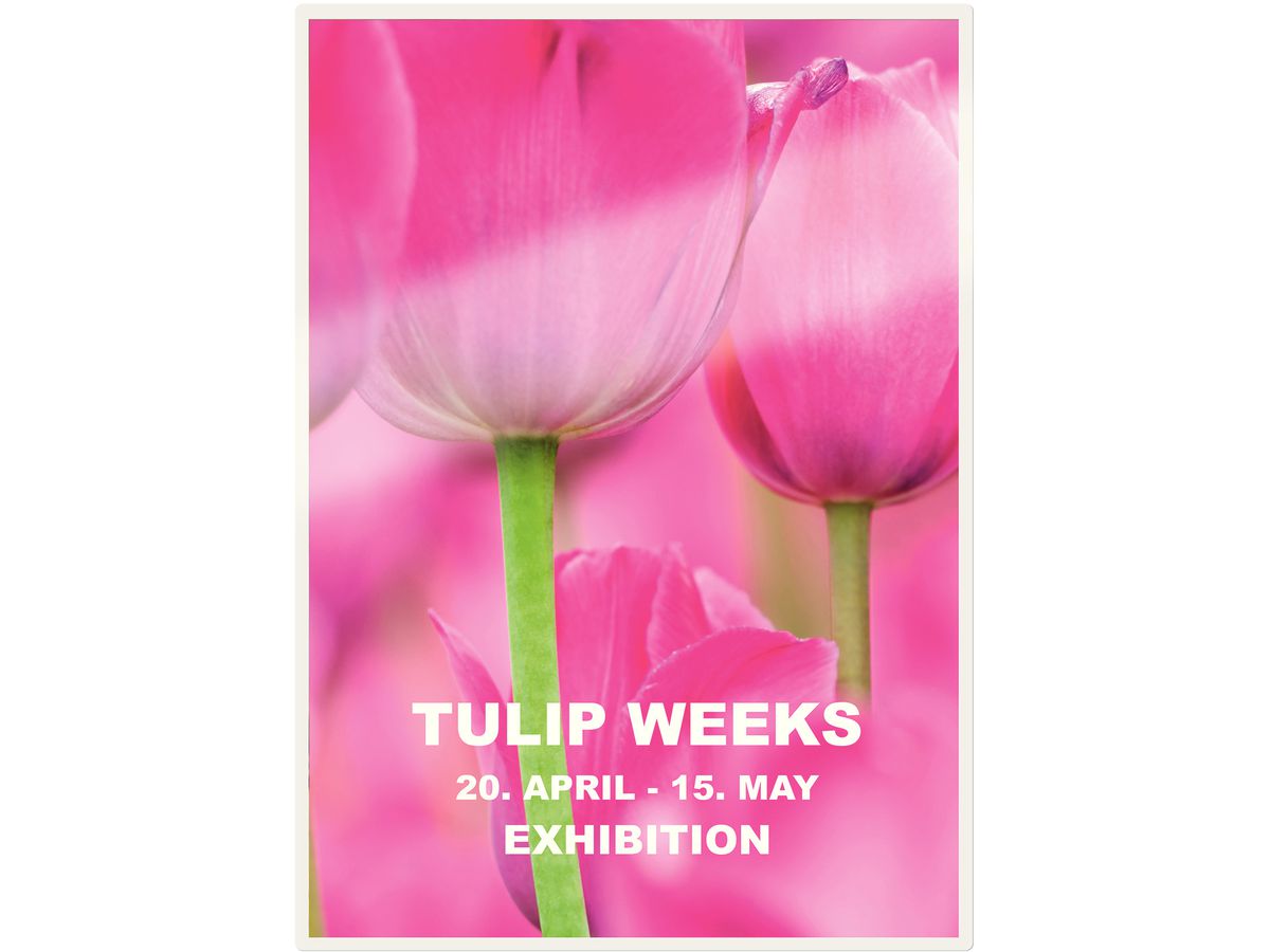 LEITZ Pelicole per laminazione A5 74930000 lucido, 125my 100 pezzi (4002432397778)