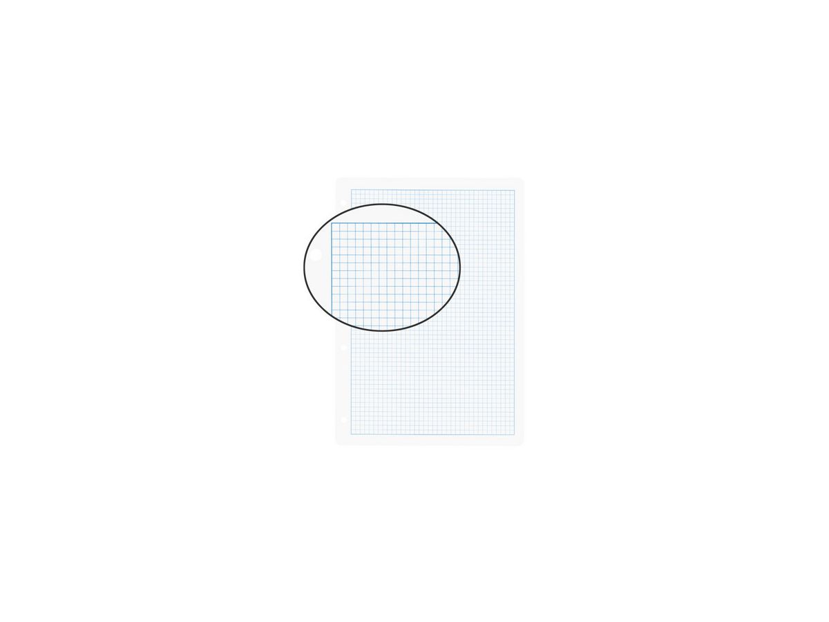 BIELLA Einlageblätter A4 45144400U weiss,kar. 4mm,4-Loch 100Bl. (7611365230600)