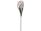 EGLO Kunstblume MOLAVE 428126 rosa (9008606278992)