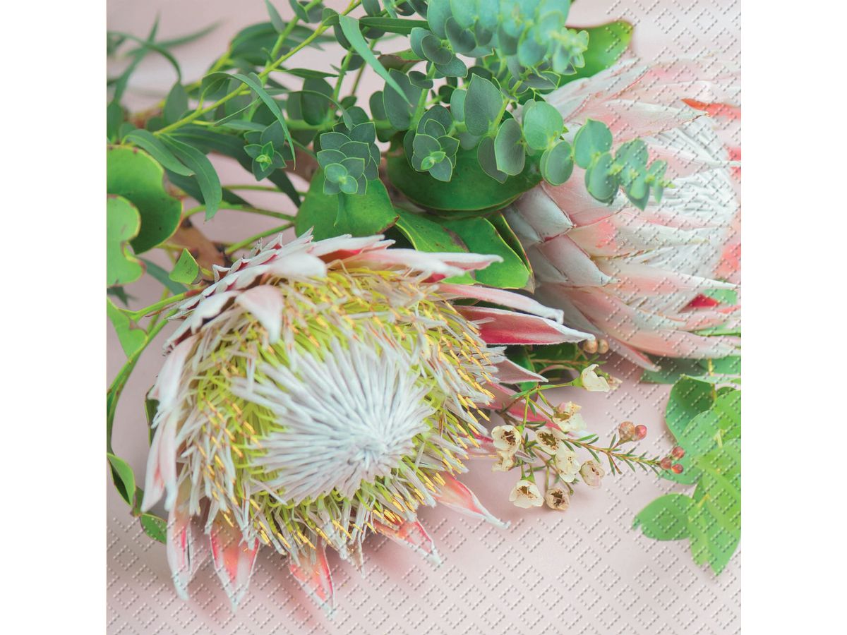 STEWO Serviettes Protea 33x33cm 2572568925 rose FSC 20 pcs. (7630050838235)