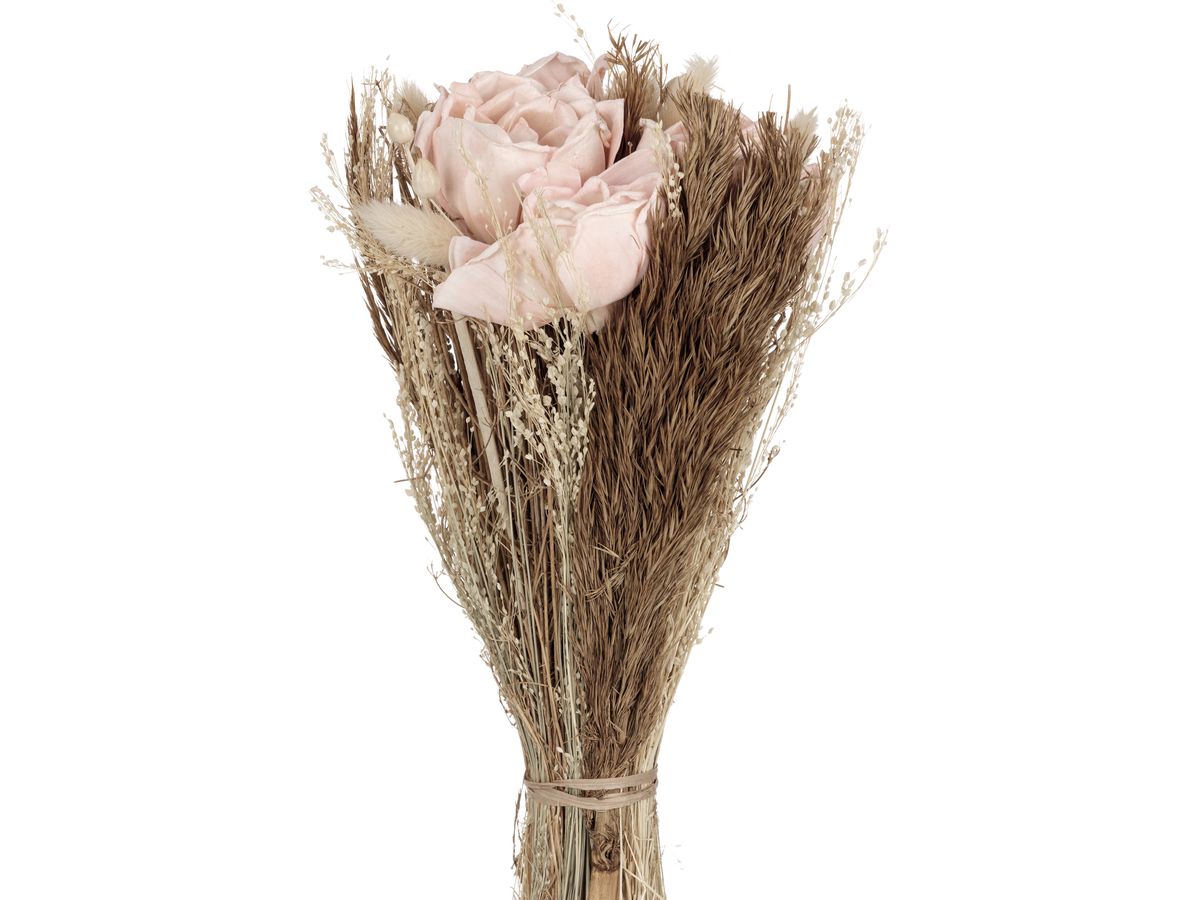 EGLO Fiori secchi CARAQUET 428153 albicocca (9008606282036)