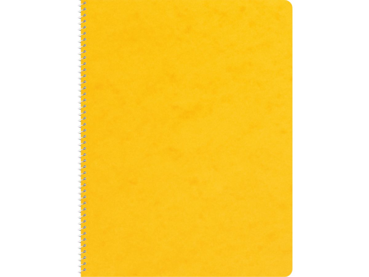 NOVOOO Spiralheft ass. 17.5×22cm 729781 kariert, 5mm, 70g 48 Blatt (9010729086781)