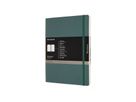 MOLESKINE Carnet 25x1,3x19cm 620848 vert, 192 pages (8058647620848)