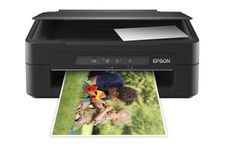 Epson                        - Expression Home XP 102