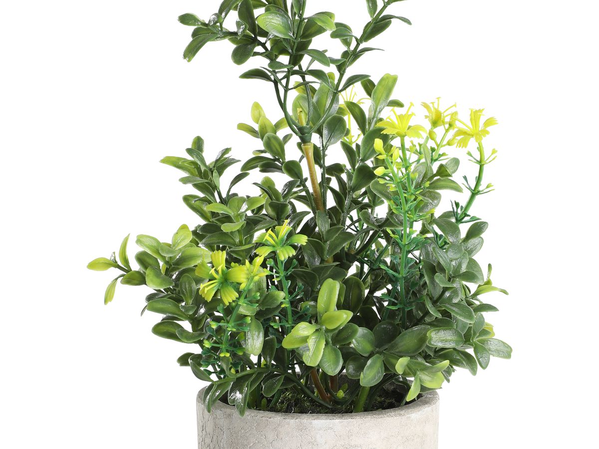 EGLO Pianta artificiale 25cm 428025 verde, in vaso (9008606253432)