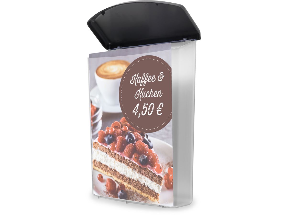 DEFLECTO Prospektbox A4 790801 für Aussenbereich (0079916790817)