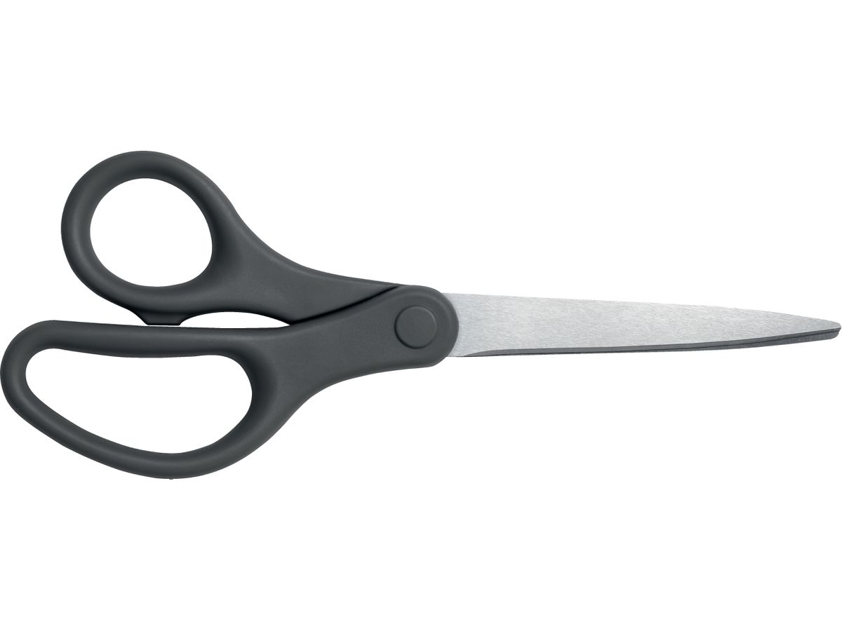 LEITZ Ciseaux titan 20.5cm 5422-00-89 gris foncé (4002432138234)