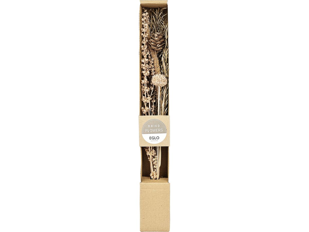 EGLO Fleur séchée 37cm 428056 beige (9008606258796)