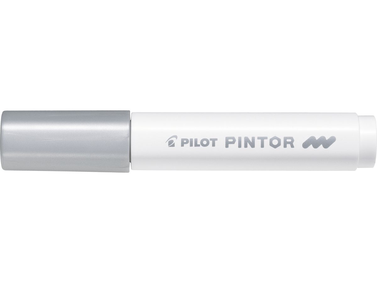 PILOT Marker Pintor M SW-PT-M-S argent (4902505542091)