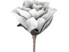 EGLO Kunstblume MOLAVE 428129 grau (9008606279029)