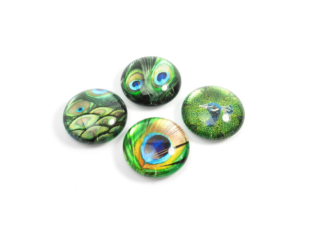 TRENDFORM EYE Aimants PEACOCK EY2020 4 pcs. (7640169365720)