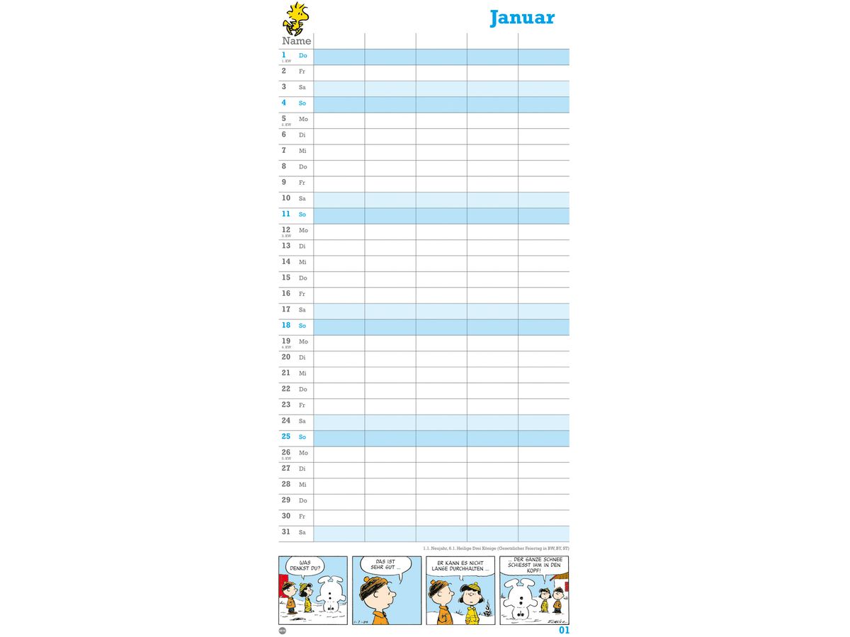 HEYE Familienplaner Peanuts 2026 1589+26 1M/1S DE 5 Spalten 21x45cm (9783756409709)