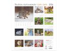 ALPHA EDITION Bildkalender 2026 160575 Katzenkinder ML 30x34cm (4069095005754)