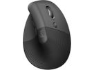 LOGITECH Ergonomische Maus 910-006494 Lift for Business Graphite (5099206099838)