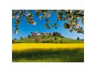 CALENDARIA Calendario 2026 9783036205137 Switzerland ML 31.5x23cm (9783036205137)