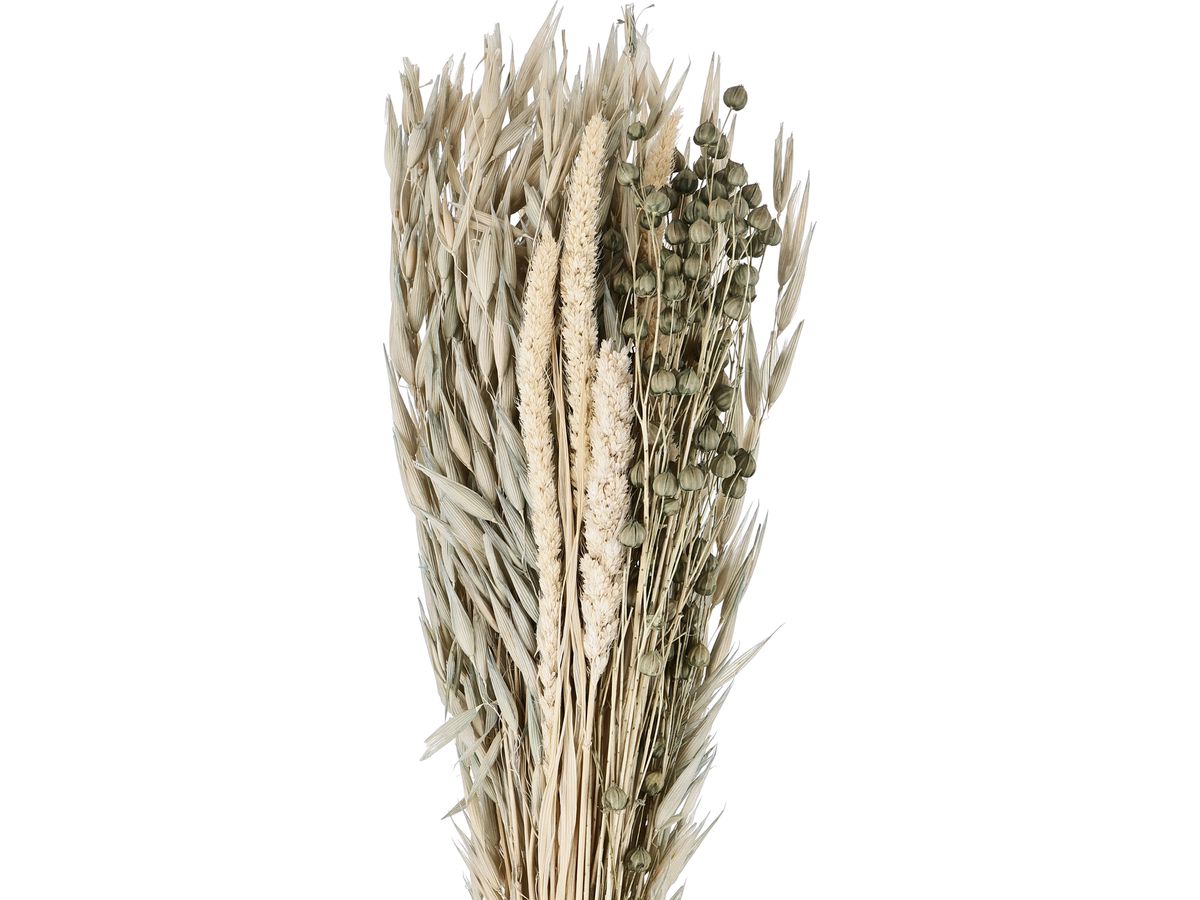 EGLO Fleurs séchées CARAQUET 45cm 428069 vert (9008606266784)