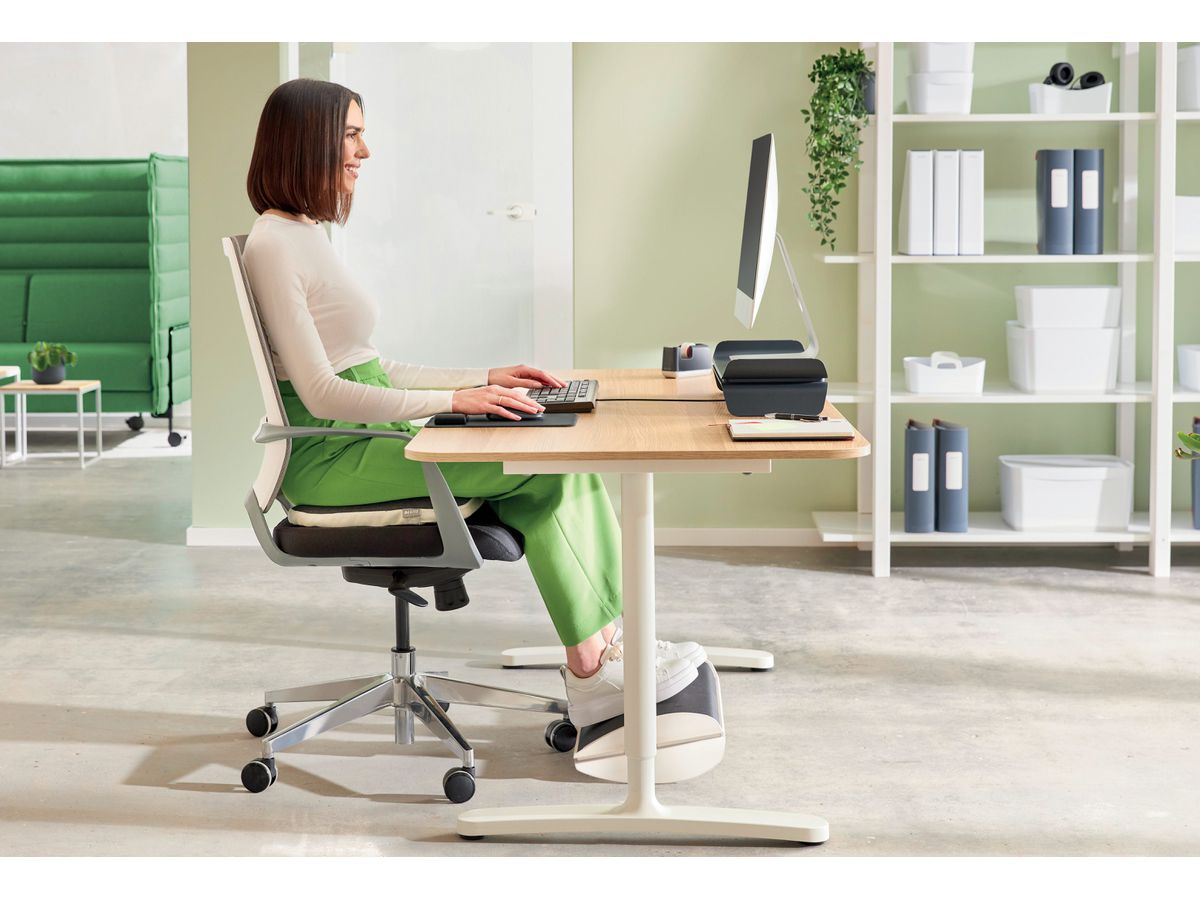 LEITZ Ergo Fussstütze 65030085 grau 508x135x300mm (4002432134809)