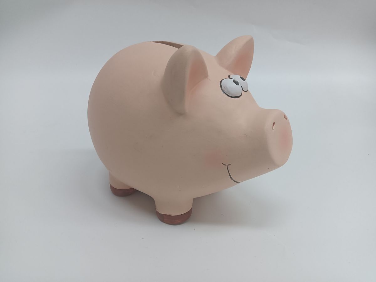 ROOST Sparkasse Schwein TG9080-7.5 18.5x14.3x15.5cm (7612532057860)