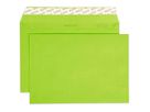ELCO Couvert Color o/Fenster C5 24084.62 100g, grün 250 Stück (7610425859614)