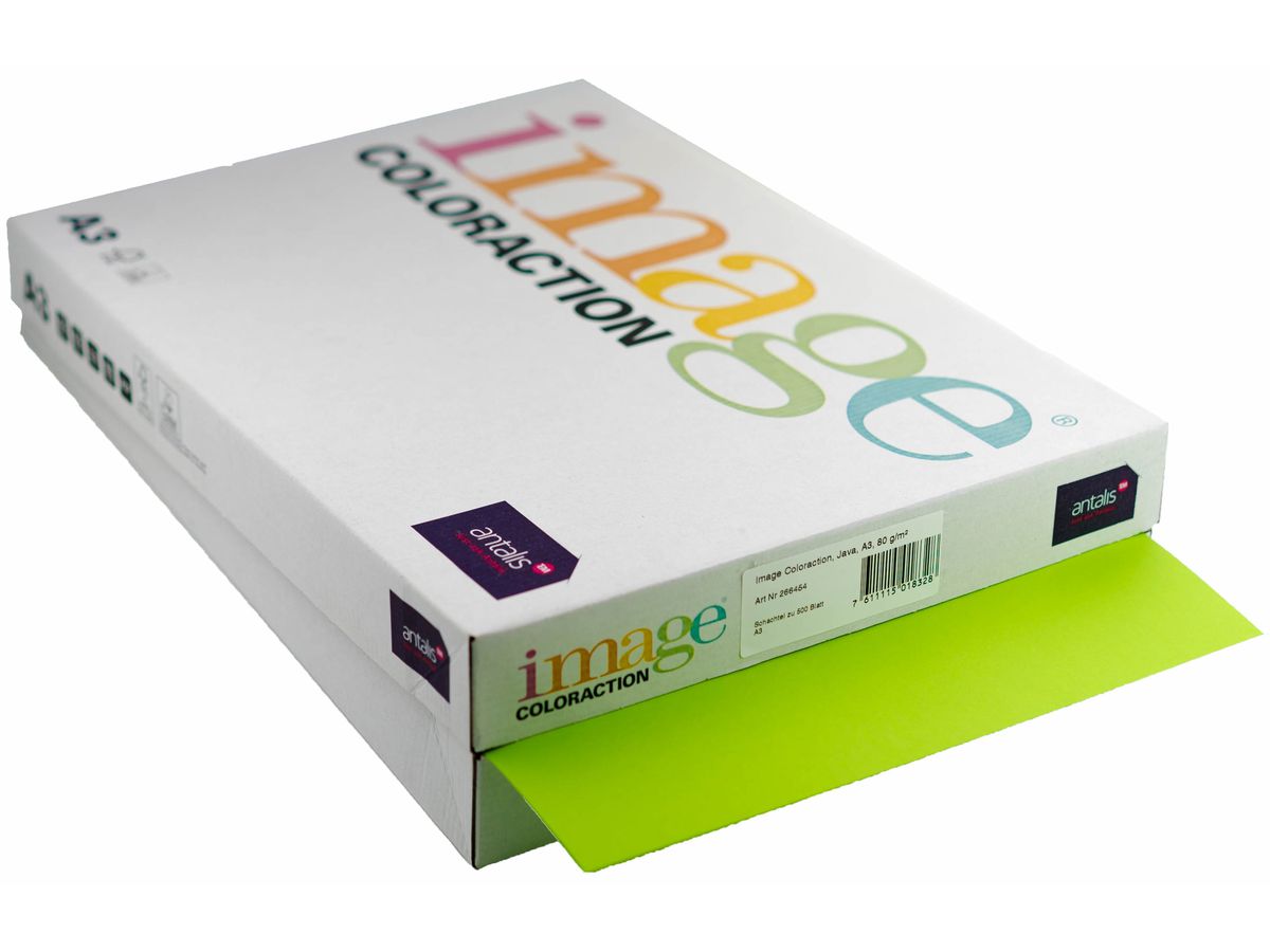 IMAGE COLORACTION Carta per copie Java A3 266454 80g, verde 500 fogli (7611115018328)