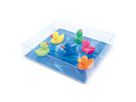TRENDFORM Aimants DUCK FW3526 set de 6 assorti (7640145464447)