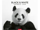 WEINGARTEN Bildkalender 2026 3312243+26 Black&White Animals 55x46cm (9783839902776)