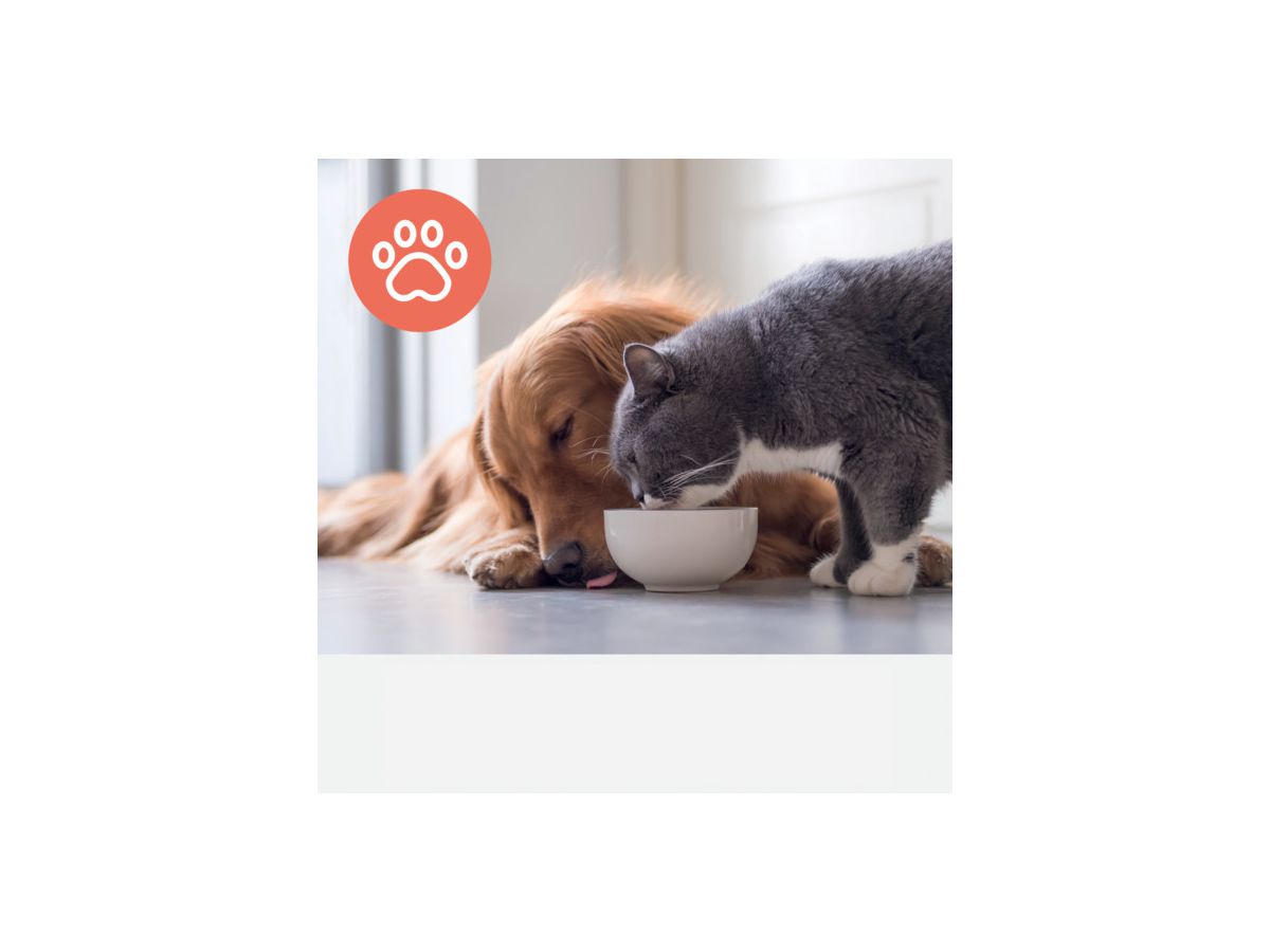 LEITZ Filtre charbon actif TruSens 2415128 Animal, HEPA (5028252619073)