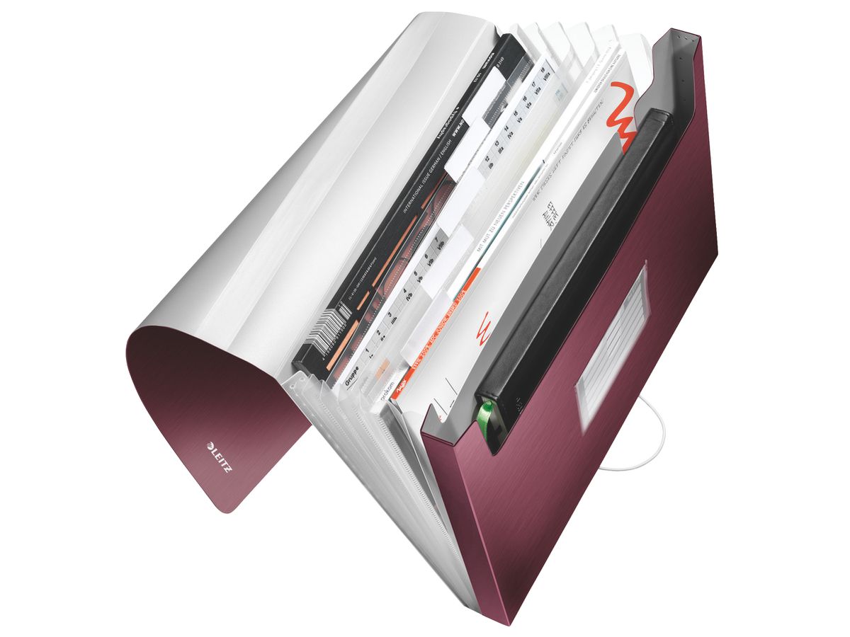LEITZ Dossier de coll. Style PP A4 39570028 grenat 6 comp.200 flls. (4002432108114)