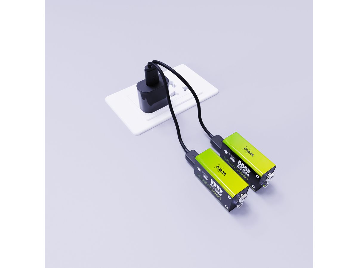 VERICO LoopEnergy Akku USB-C 1UDBT-A3WEB2 9V/6LR61 (500mAh) 2 Stück (4713095608995)