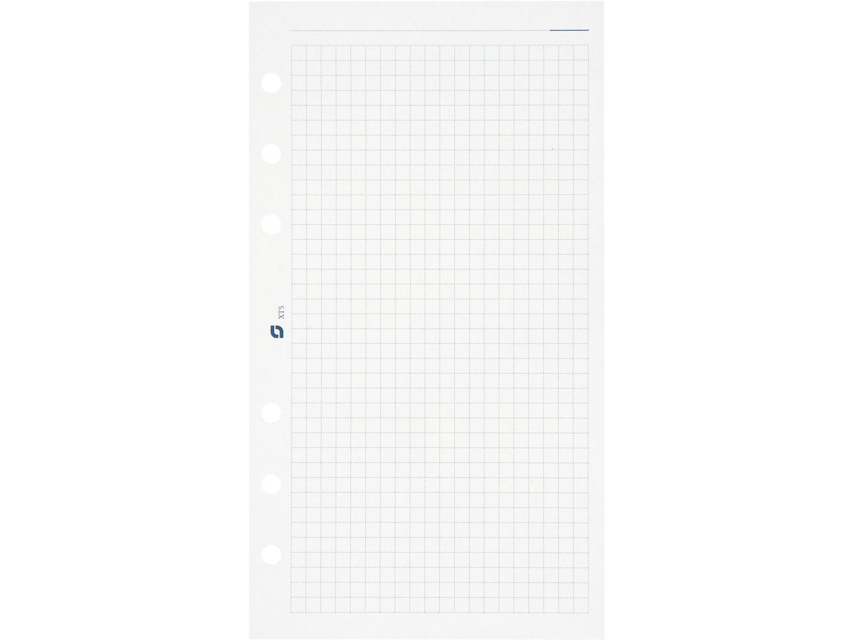 SUCCES Agenda Standard Notizpapier 84300500U kariert weiss 9.5x17.1cm (8712254039270)