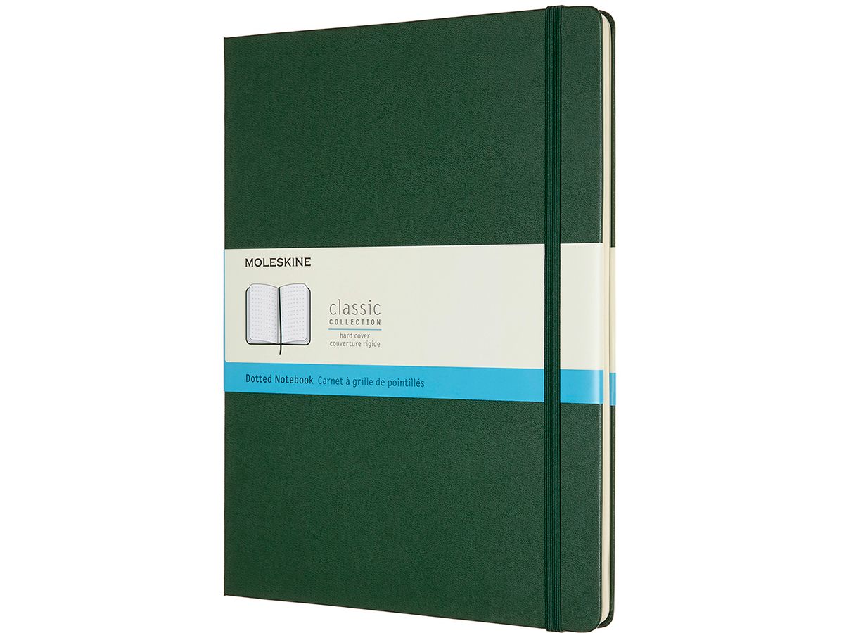 MOLESKINE Taccuino XL HC 25x19cm 629131 punti, verde, 192 pagine (8058647629131)