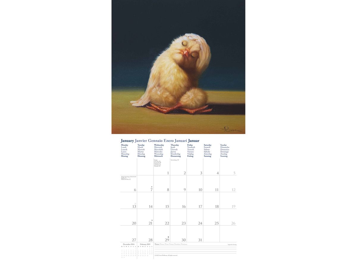 DUMONT Calendrier 2026 260853 Yoga Chicks 30x30cm (4069095008533)