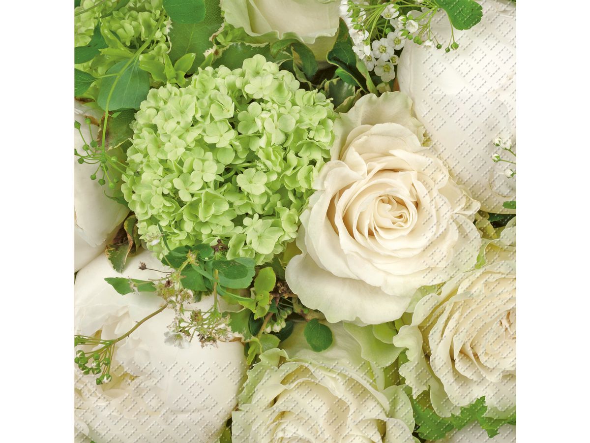 STEWO Serviettes Elaria 33x33cm 2572623146 vert clair 20 pcs. (7630050800539)