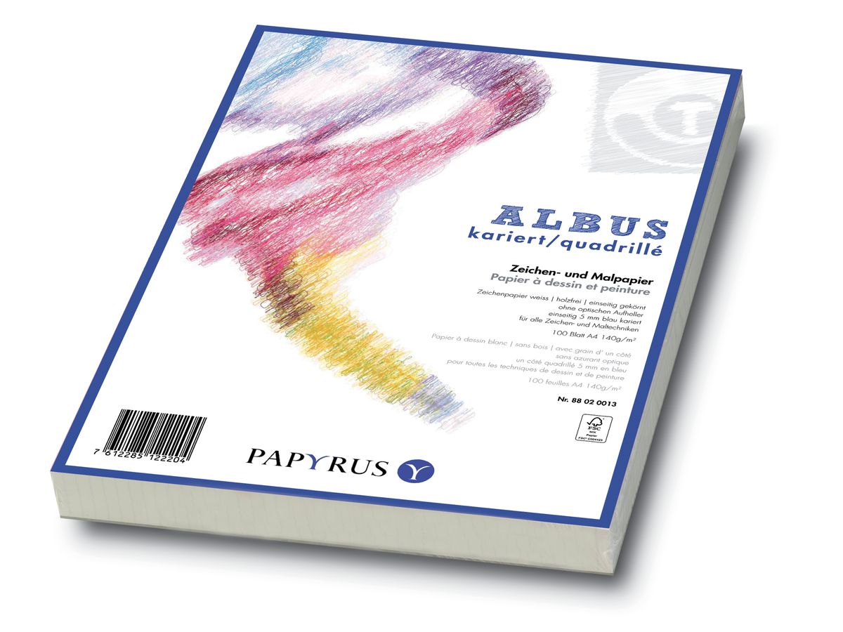 PAPYRUS Papier à dessin A2 88248958 160g, quadrillé 5mm 100 flls. (7612285127131)