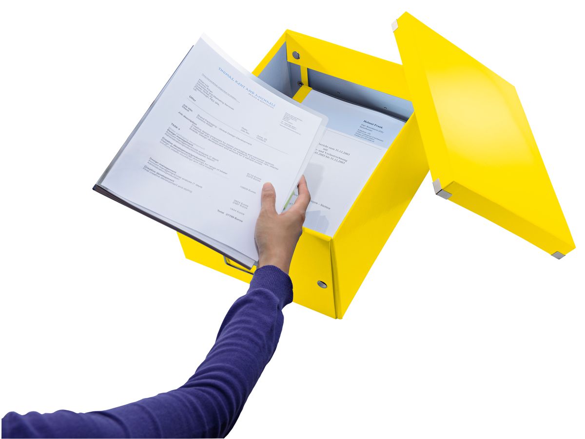 LEITZ Click&Store WOW Ablagebox M 6044-00-16 jaune 281x200x370mm (4002432122387)