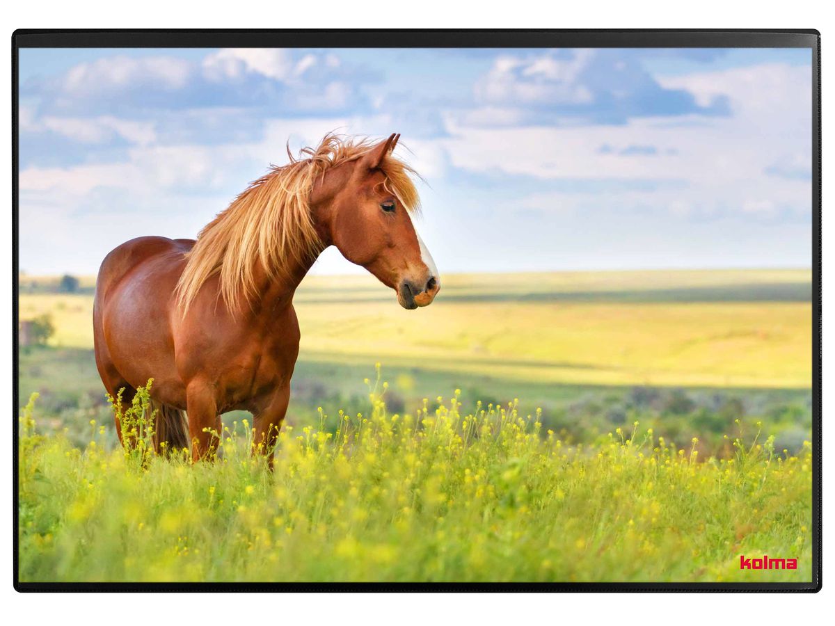 KOLMA Schreibunterlage 35.555.20 Pferd 50x34cm (7611967350478)