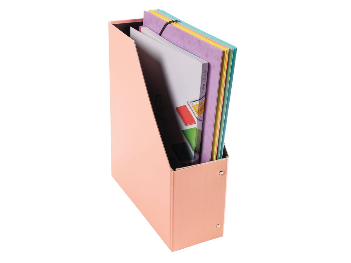 EXACOMPTA Boîte de classem. Aquarel A4+ 90560E 100mm, 2 pc., ass. (3130630905608)