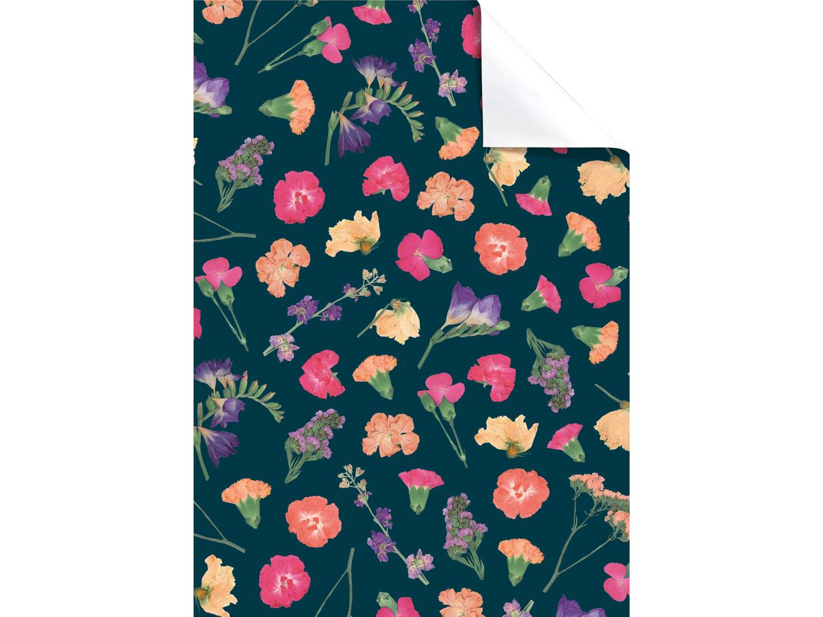 STEWO Carta da regalo Maila 2514517016 arancione chiaro 70x100cm (7630050884928)