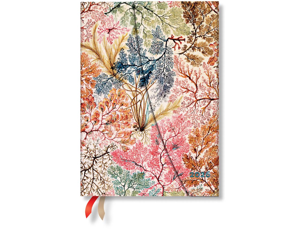 PAPERBLANKS Agenda Anémone 2026 DF0910-9 1W/2S HOR Midi HC FR 13x18cm (9780349709109)