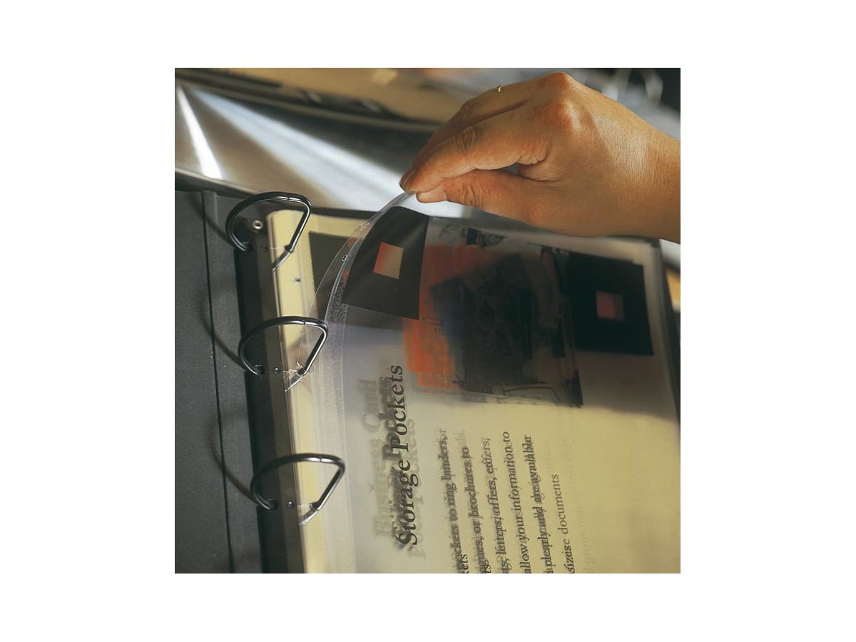 3L Abheftstreifen A4/295mm 8804-50 Universallochung 50 Stück (5701193880459)