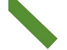 MAGNETOPLAN Ferrocard Etichette 60x22mm 1287005 verde 75 pezzi (4013695010175)