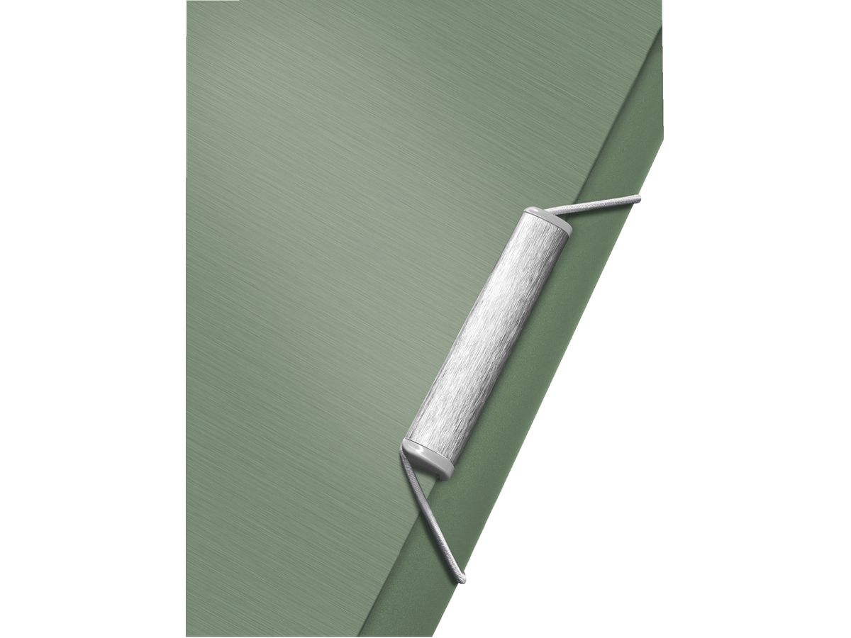 LEITZ Dossier de coll. Style PP A4 39570053 vert céladon 6 comp.200 flls. (4002432108121)