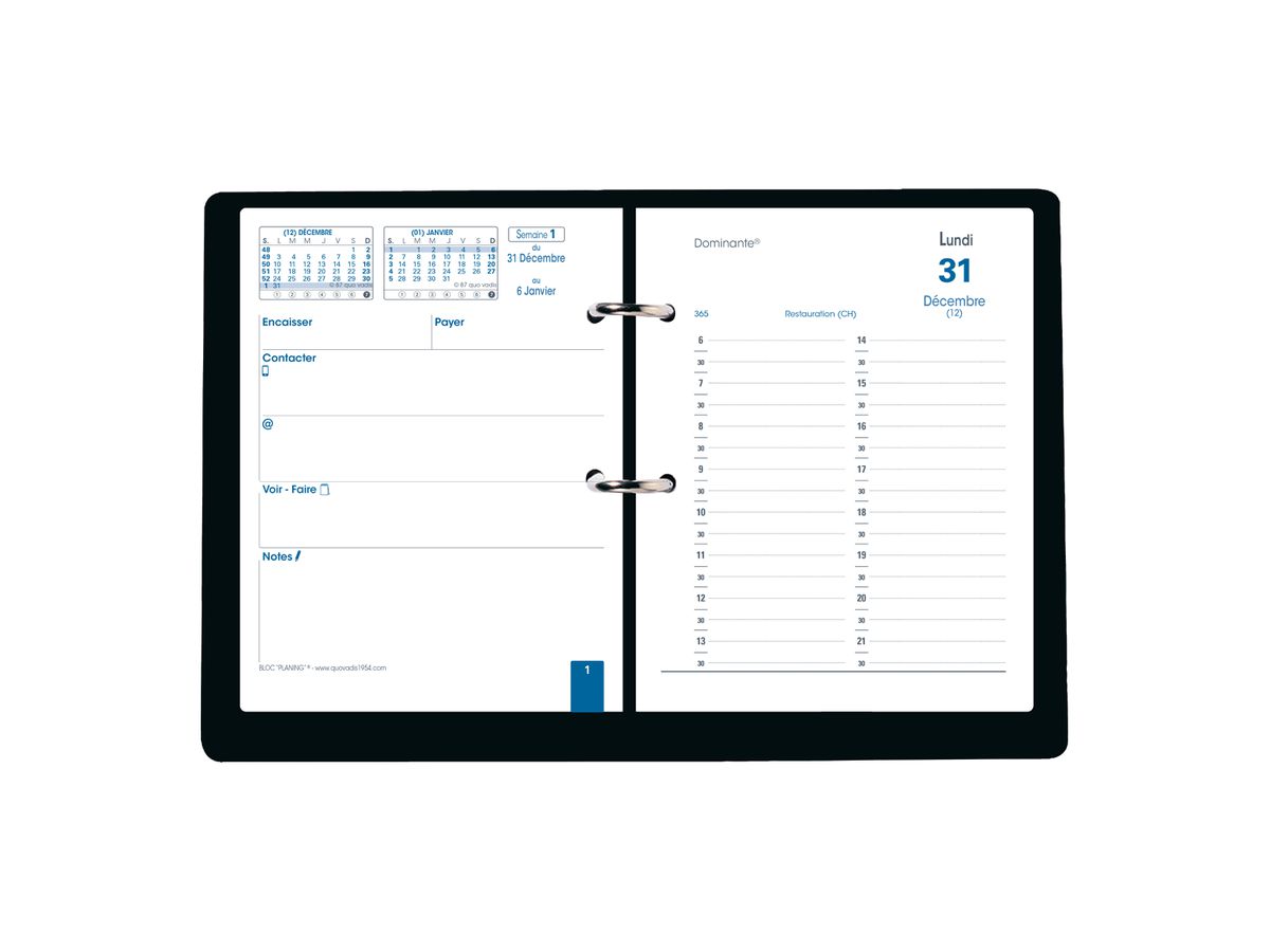 QUO-VADIS Agenda Bloc Planning 2026 032001Q 1J/1P noir FR 11.5x14.5cm (3371010118793)