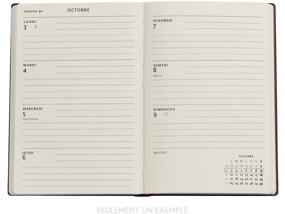 PAPERBLANKS Agenda Rubedo Mini 25/26 DD0531-6 1W/2S 18M DE HOR HC 9.5x14cm (9780349705316)