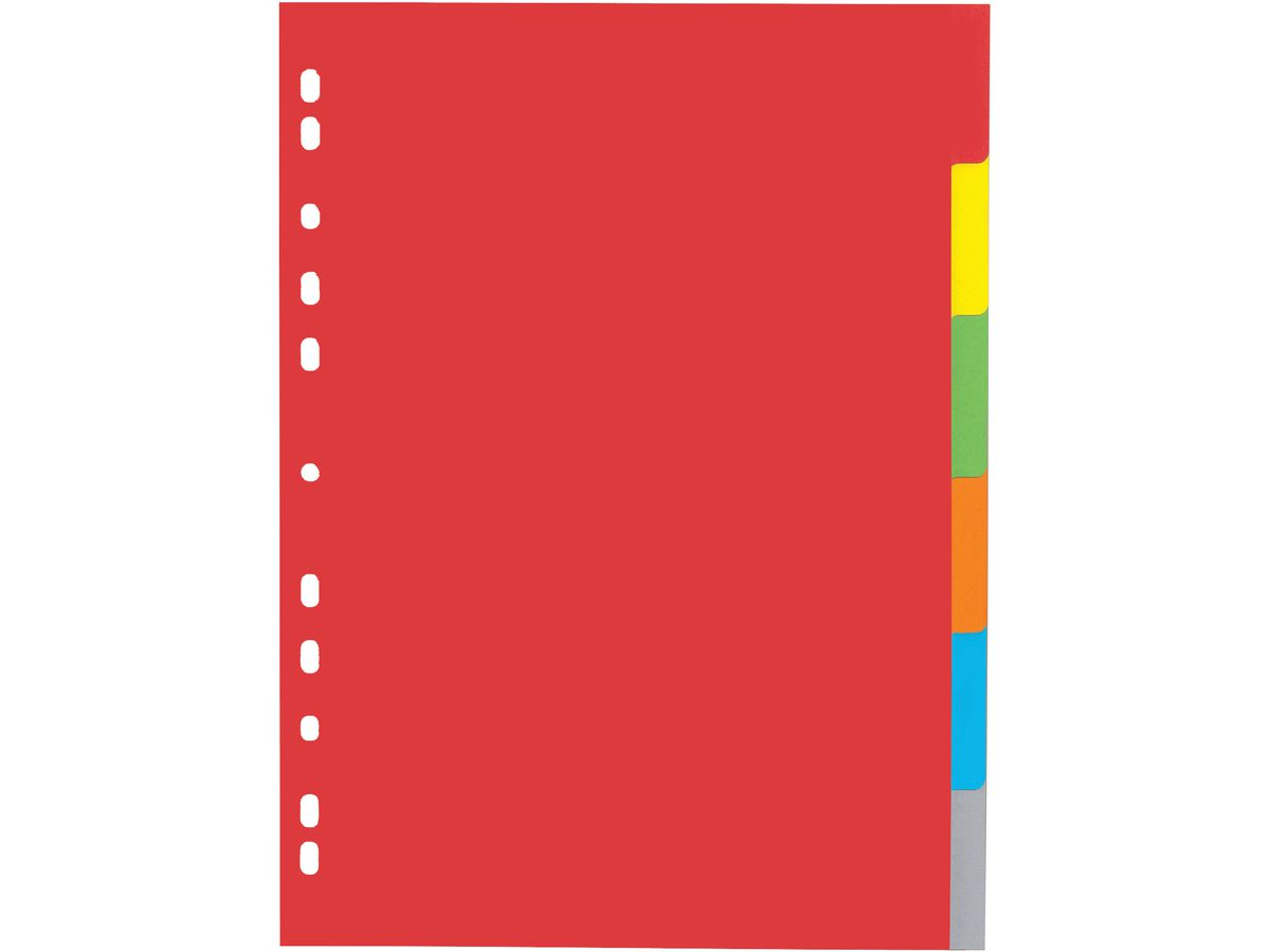 PAGNA Répertoires Karton A4 31061-20 intensive 6 pcs. (4013951010994)