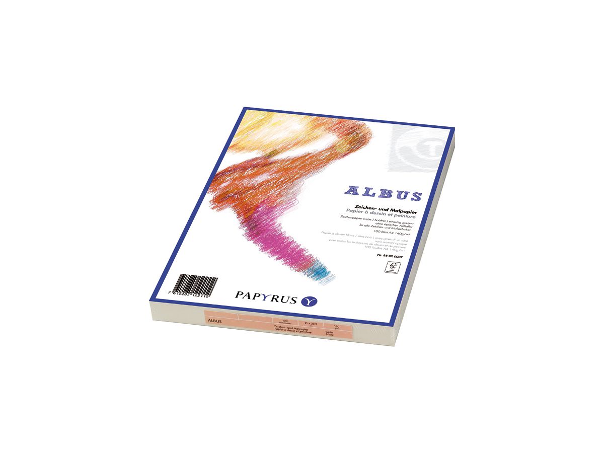PAPYRUS Papier à dessin A4 88020009 160g, blanc 100 feuilles (7612285122136)