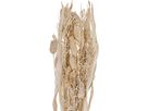 EGLO Fiori secchi CARAQUET 45cm 428071 beige (9008606266791)