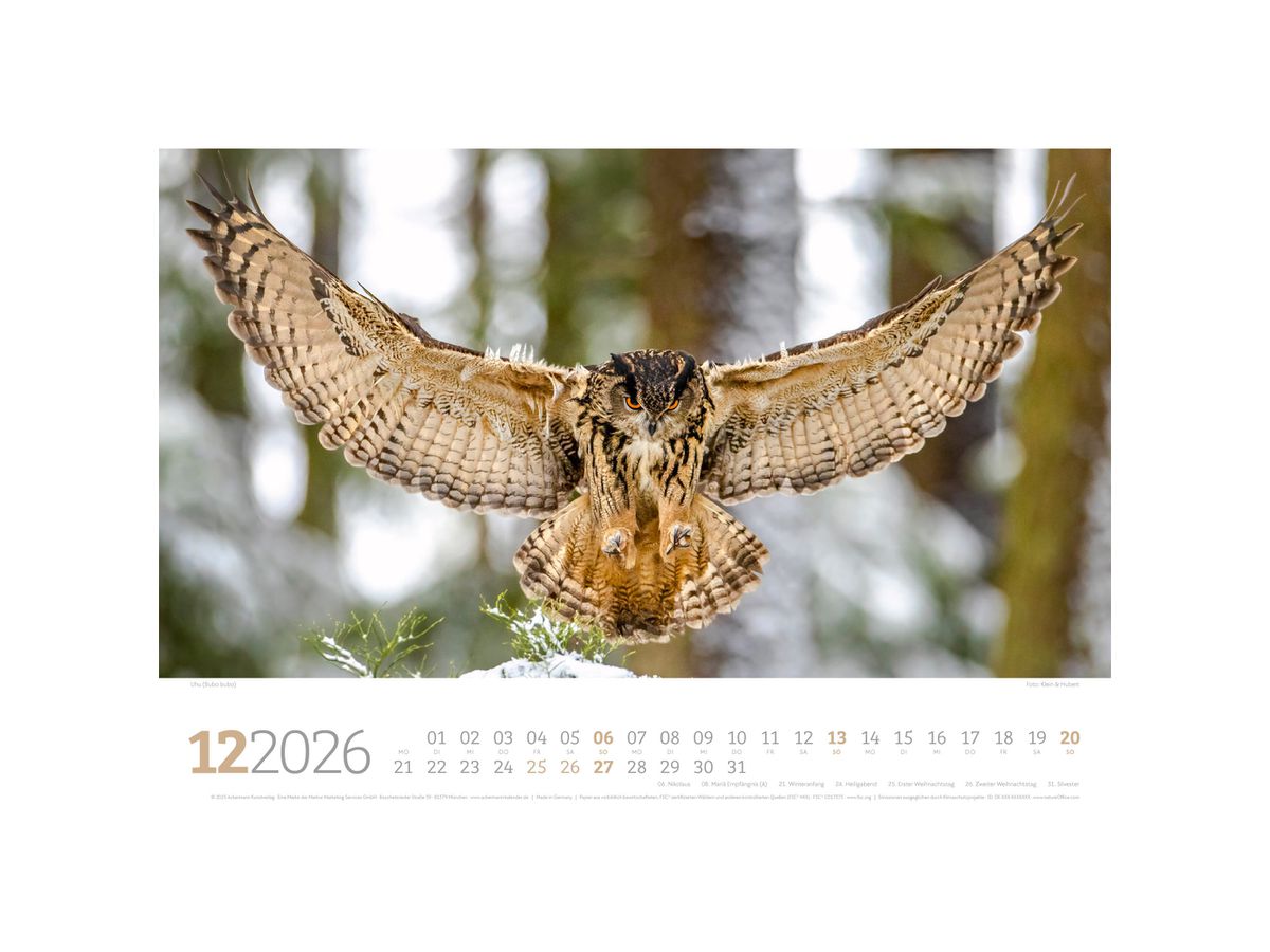 ACKERMANN Bildkalender 2026 2682 Tierwelt Wald D 45x33cm (9783838426822)