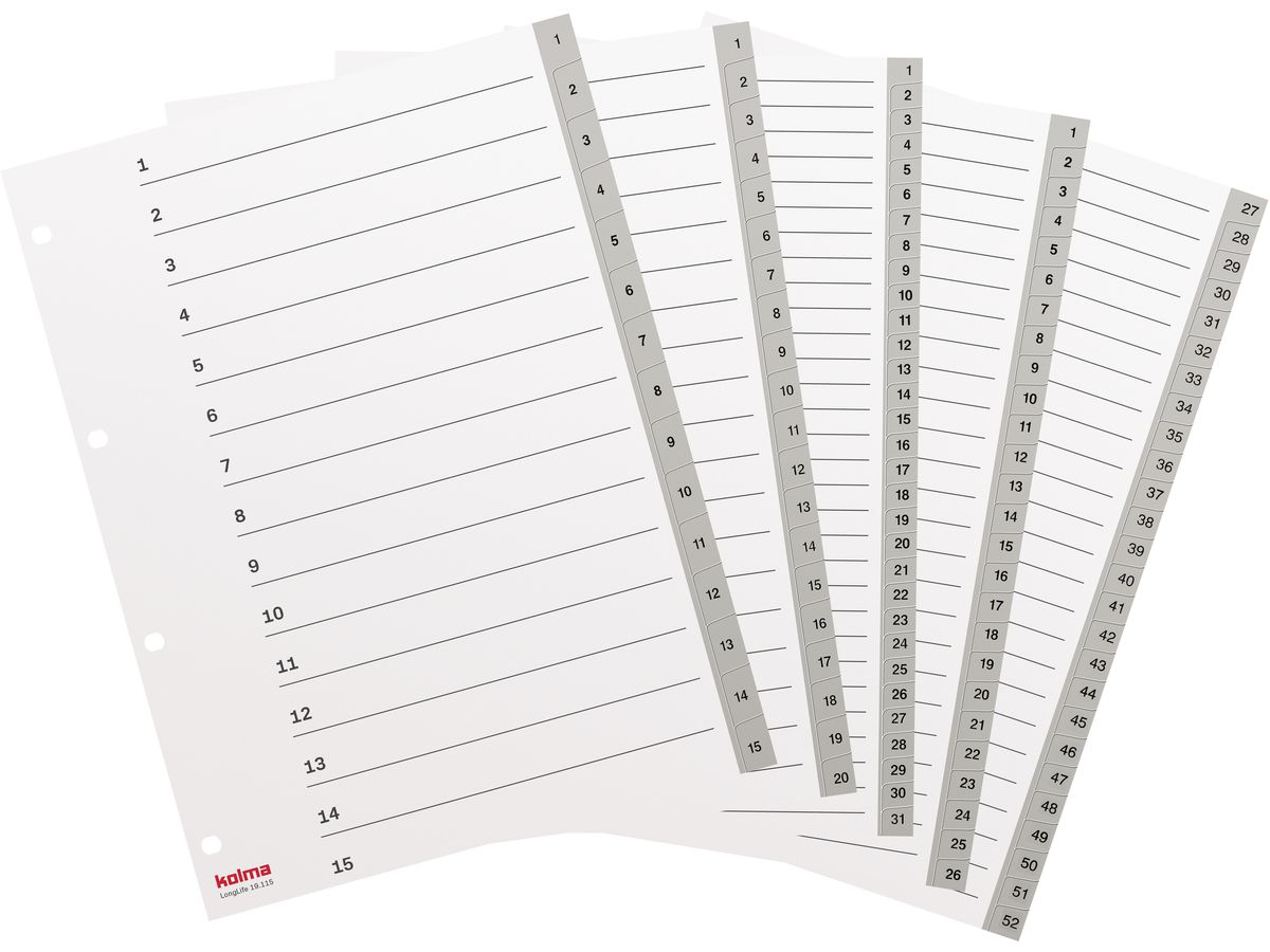 KOLMA Registro LongLife A4 19.115.03 grigio 1-15 (7611967190555)